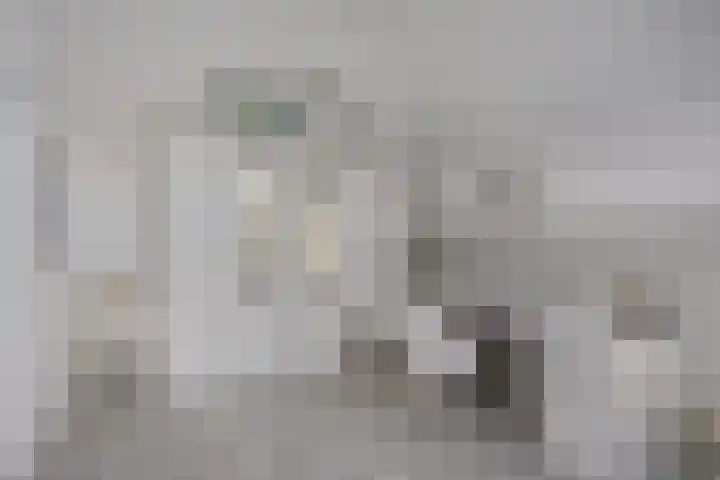 Bricolaruwe 1 Maastricht thumbnail 25