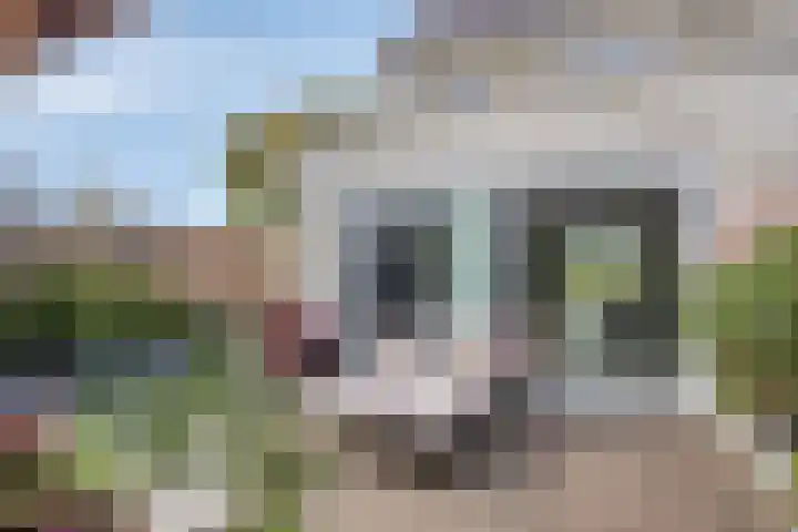 Bricolaruwe 1 Maastricht thumbnail 26