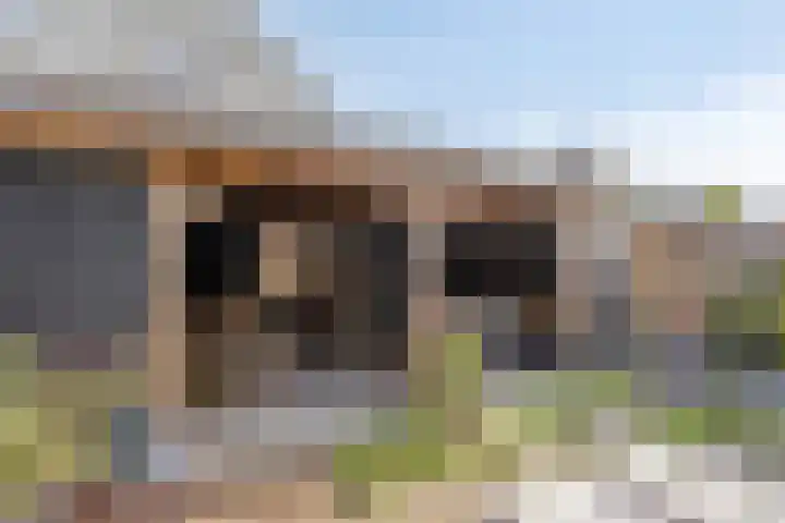 Bricolaruwe 1 Maastricht thumbnail 28