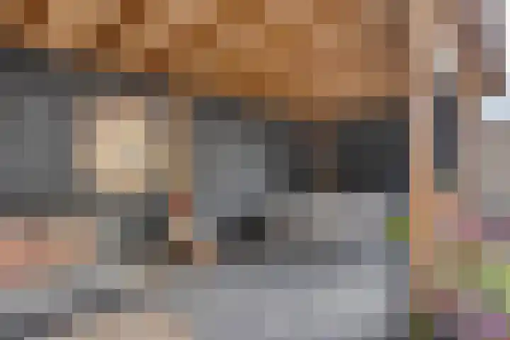Bricolaruwe 1 Maastricht thumbnail 29