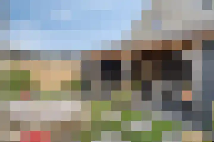 Bricolaruwe 1 Maastricht thumbnail 30