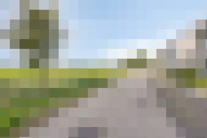 Bricolaruwe 1 Maastricht thumbnail 32
