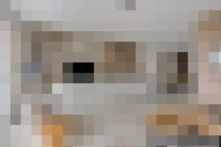 Bricolaruwe 1 Maastricht thumbnail 7