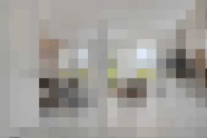 Bricolaruwe 1 Maastricht thumbnail 8