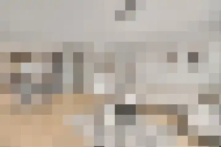 Bricolaruwe 19 Maastricht thumbnail 10