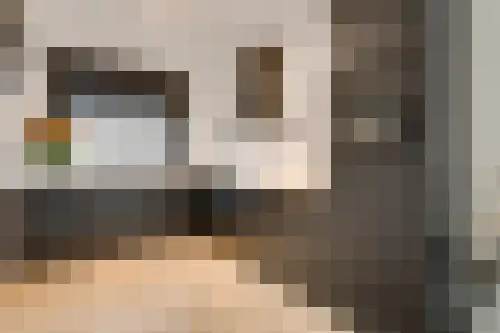 Bricolaruwe 19 Maastricht thumbnail 12