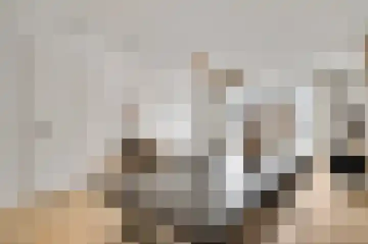 Bricolaruwe 19 Maastricht thumbnail 14