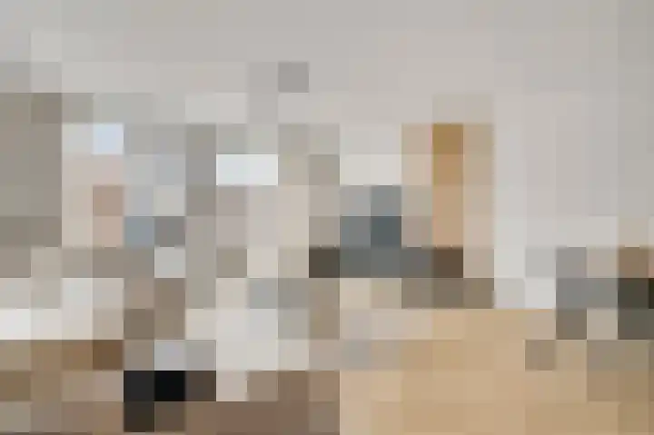 Bricolaruwe 19 Maastricht thumbnail 15