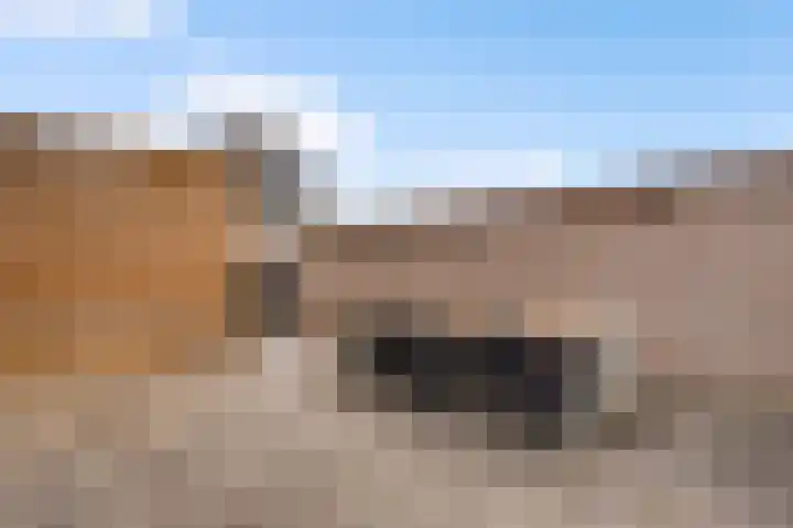Bricolaruwe 19 Maastricht thumbnail 16