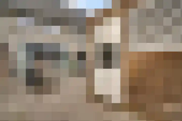 Bricolaruwe 19 Maastricht thumbnail 19