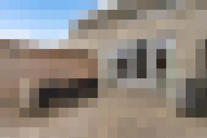 Bricolaruwe 19 Maastricht thumbnail 20