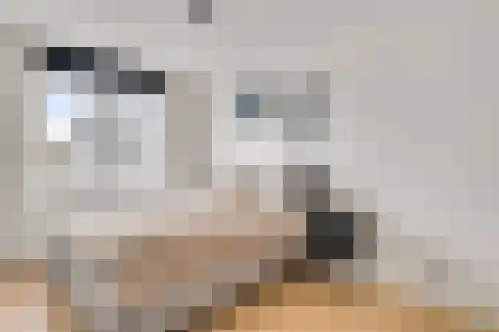 Bricolaruwe 19 Maastricht thumbnail 22
