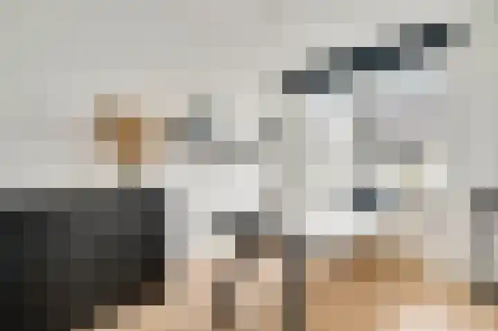 Bricolaruwe 19 Maastricht thumbnail 24