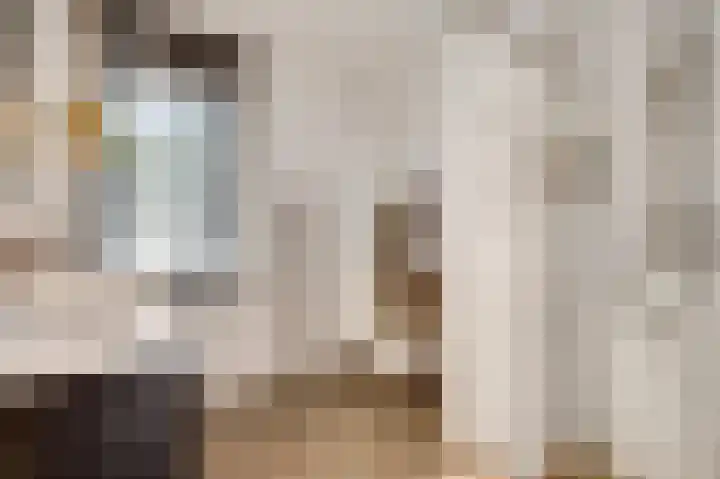 Bricolaruwe 19 Maastricht thumbnail 26