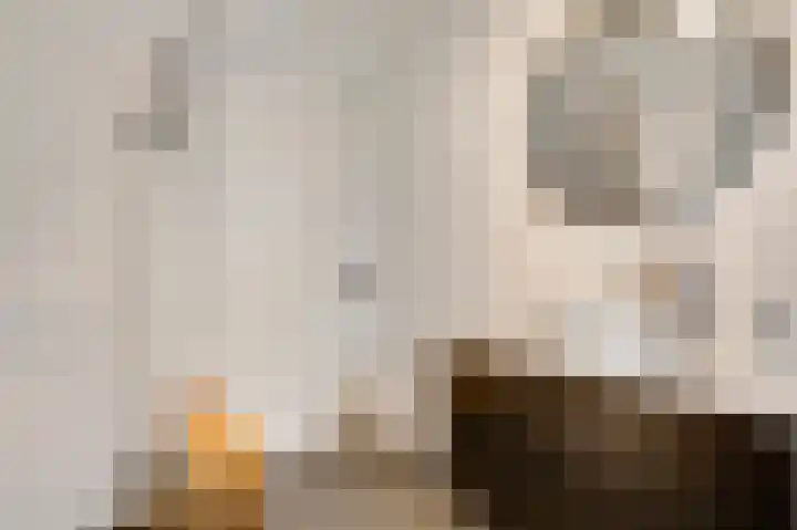 Bricolaruwe 19 Maastricht thumbnail 27