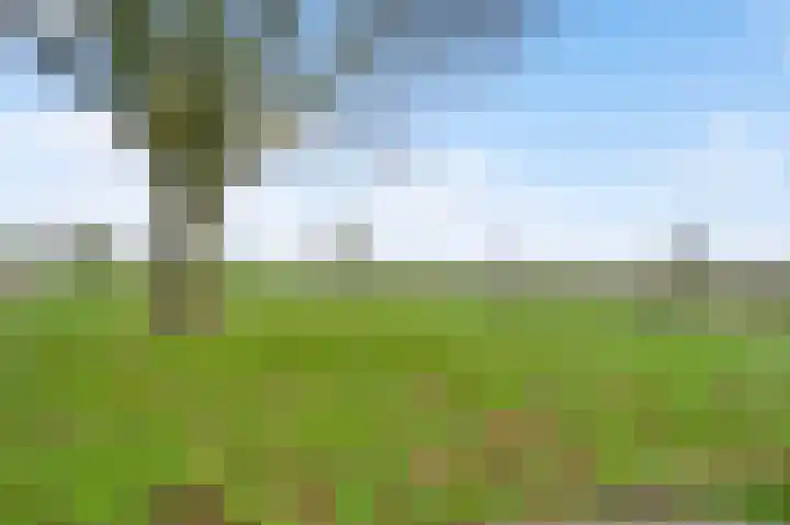 Bricolaruwe 19 Maastricht thumbnail 35