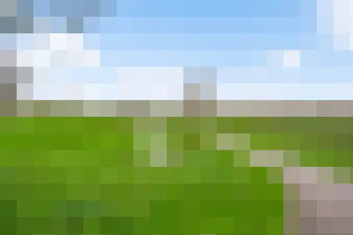 Bricolaruwe 19 Maastricht thumbnail 37