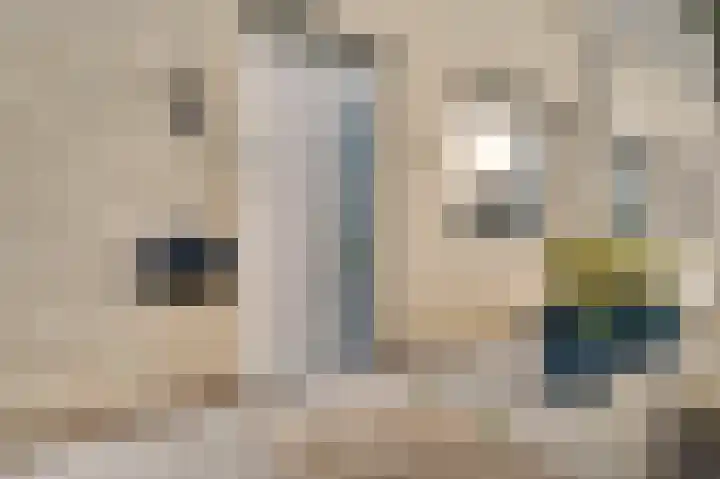 Bricolaruwe 19 Maastricht thumbnail 4