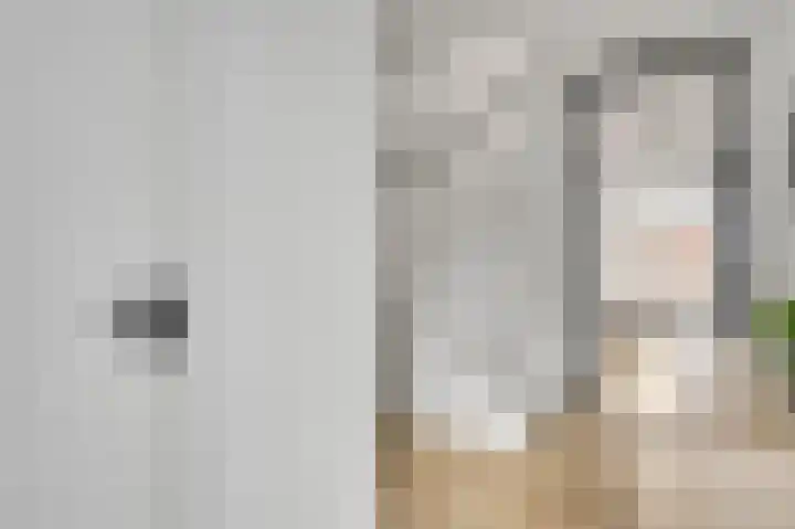 Bricolaruwe 19 Maastricht thumbnail 5