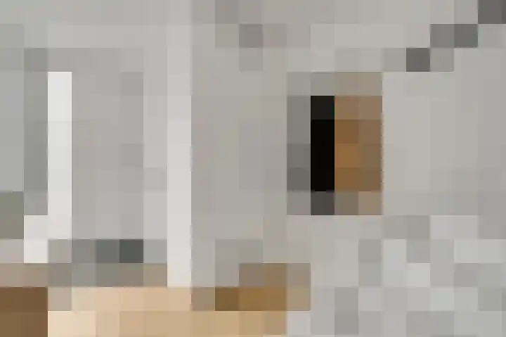 Bricolaruwe 19 Maastricht thumbnail 6