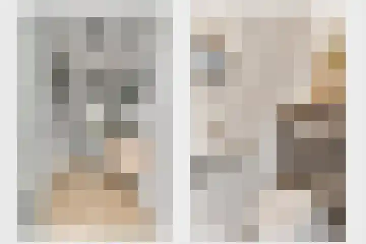 Bricolaruwe 19 Maastricht thumbnail 7
