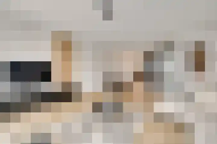 Bricolaruwe 19 Maastricht thumbnail 9