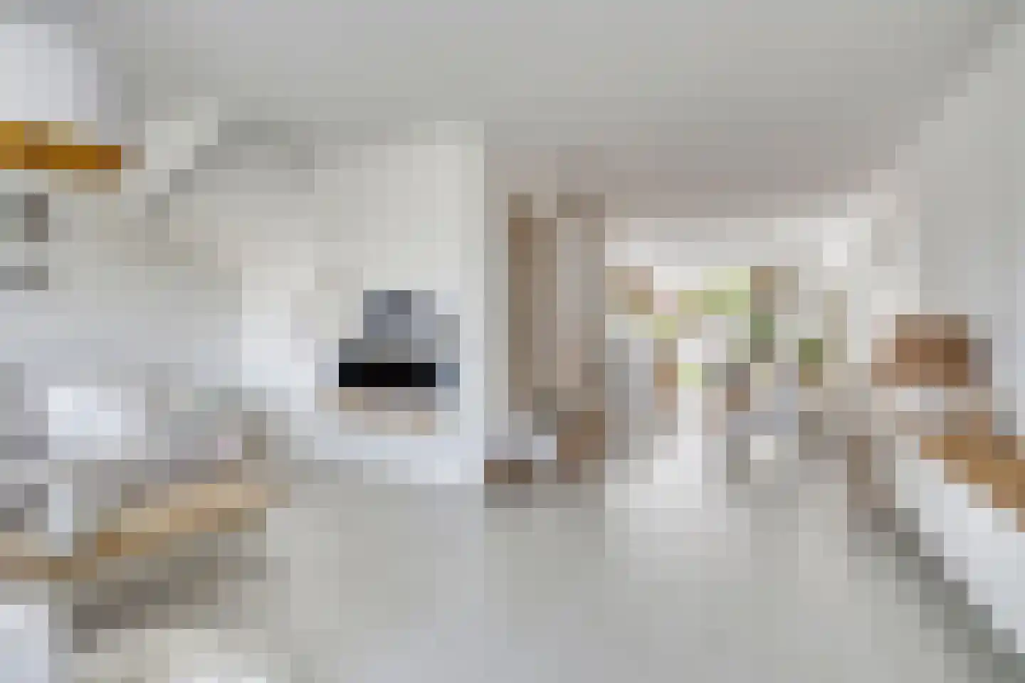 Bricolaruwe 2 Maastricht thumbnail 11