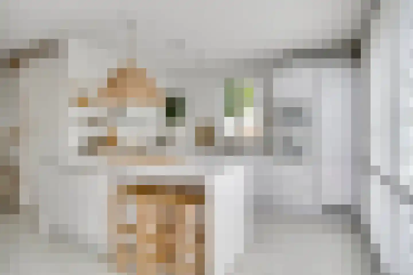 Bricolaruwe 2 Maastricht thumbnail 21