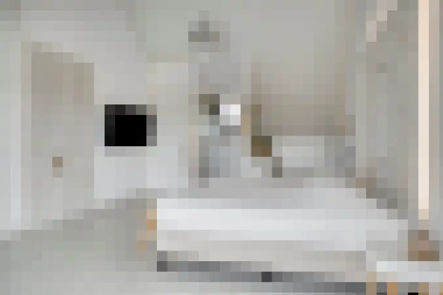 Bricolaruwe 2 Maastricht thumbnail 28