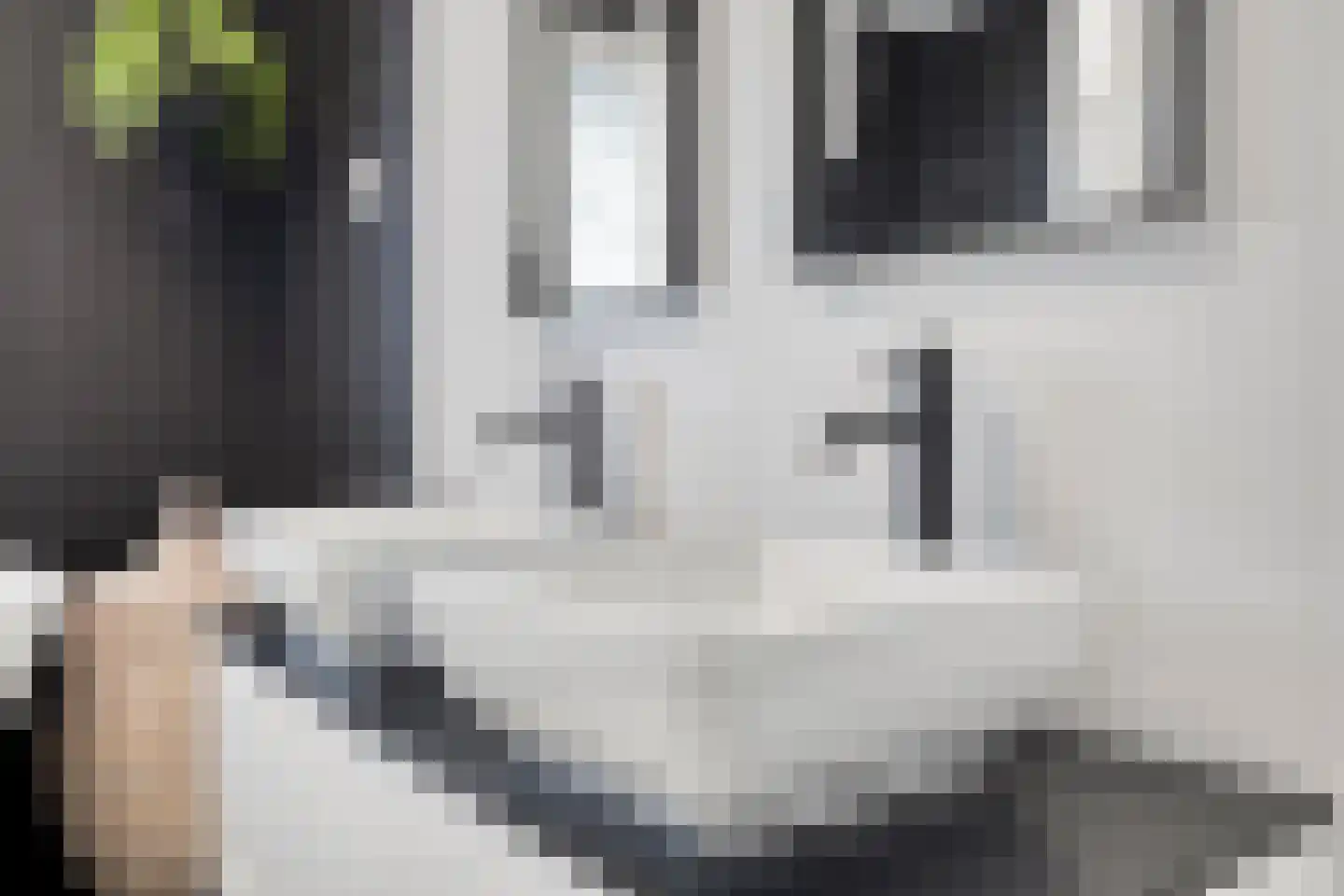 Bricolaruwe 2 Maastricht thumbnail 38