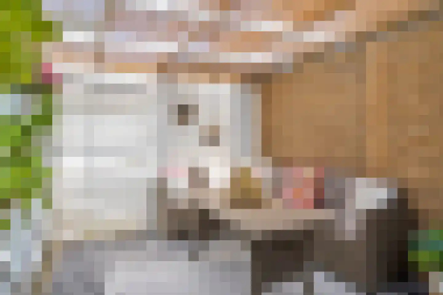 Bricolaruwe 2 Maastricht thumbnail 46