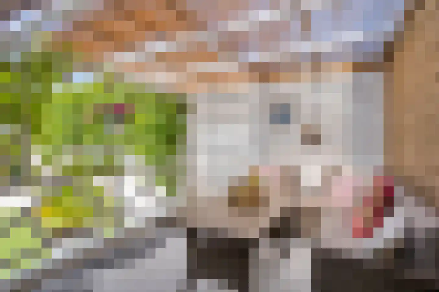 Bricolaruwe 2 Maastricht thumbnail 48