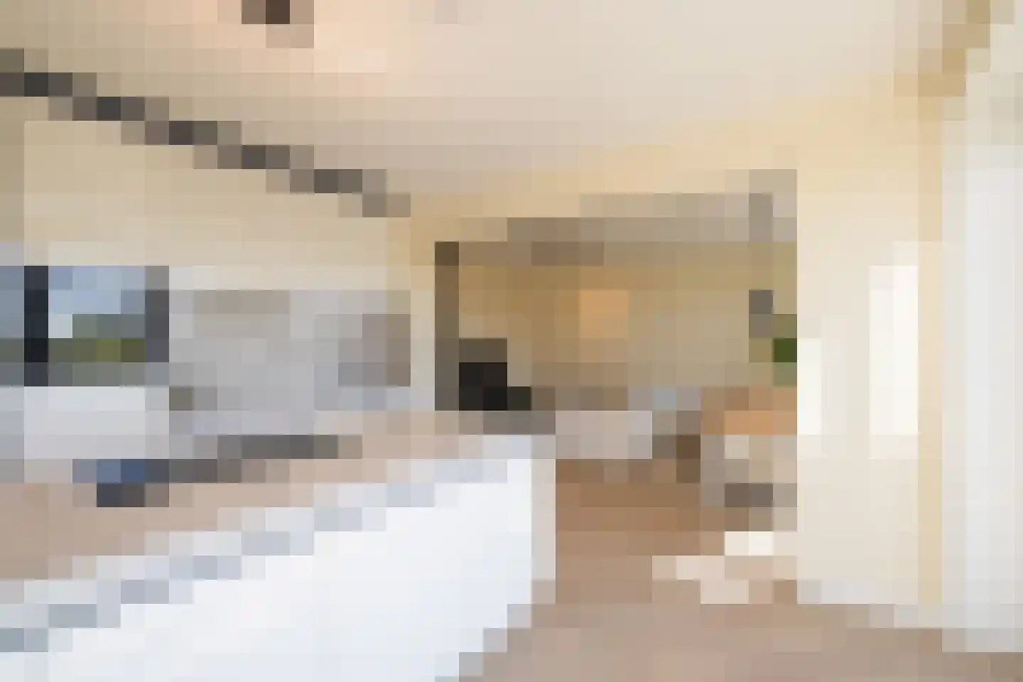 Bridgemankade 100 Hoofddorp thumbnail 14