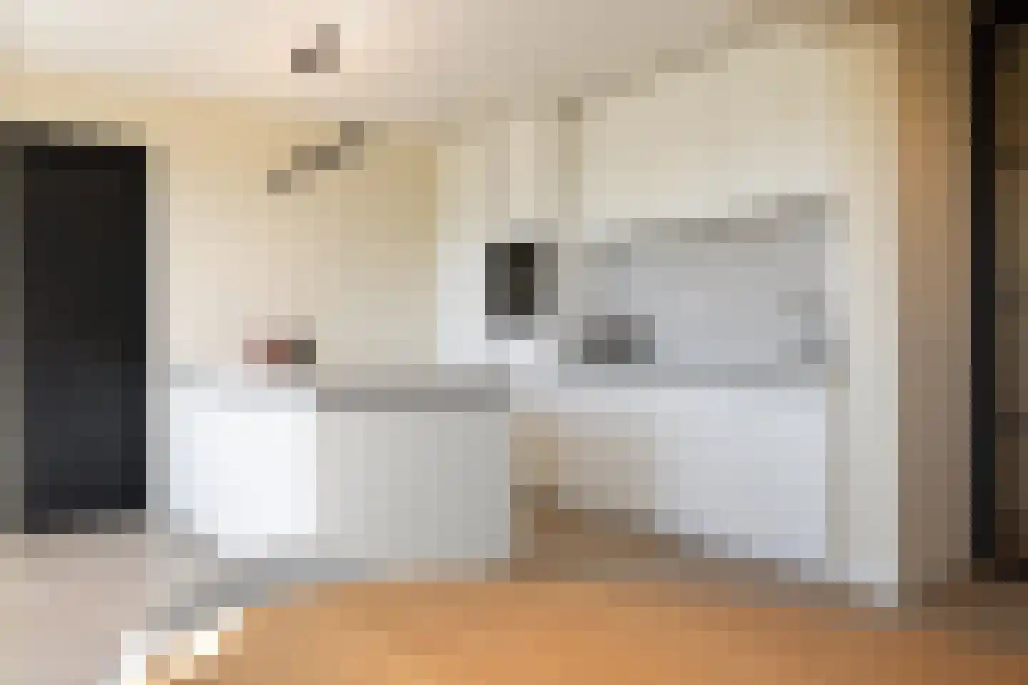 Bridgemankade 100 Hoofddorp thumbnail 15