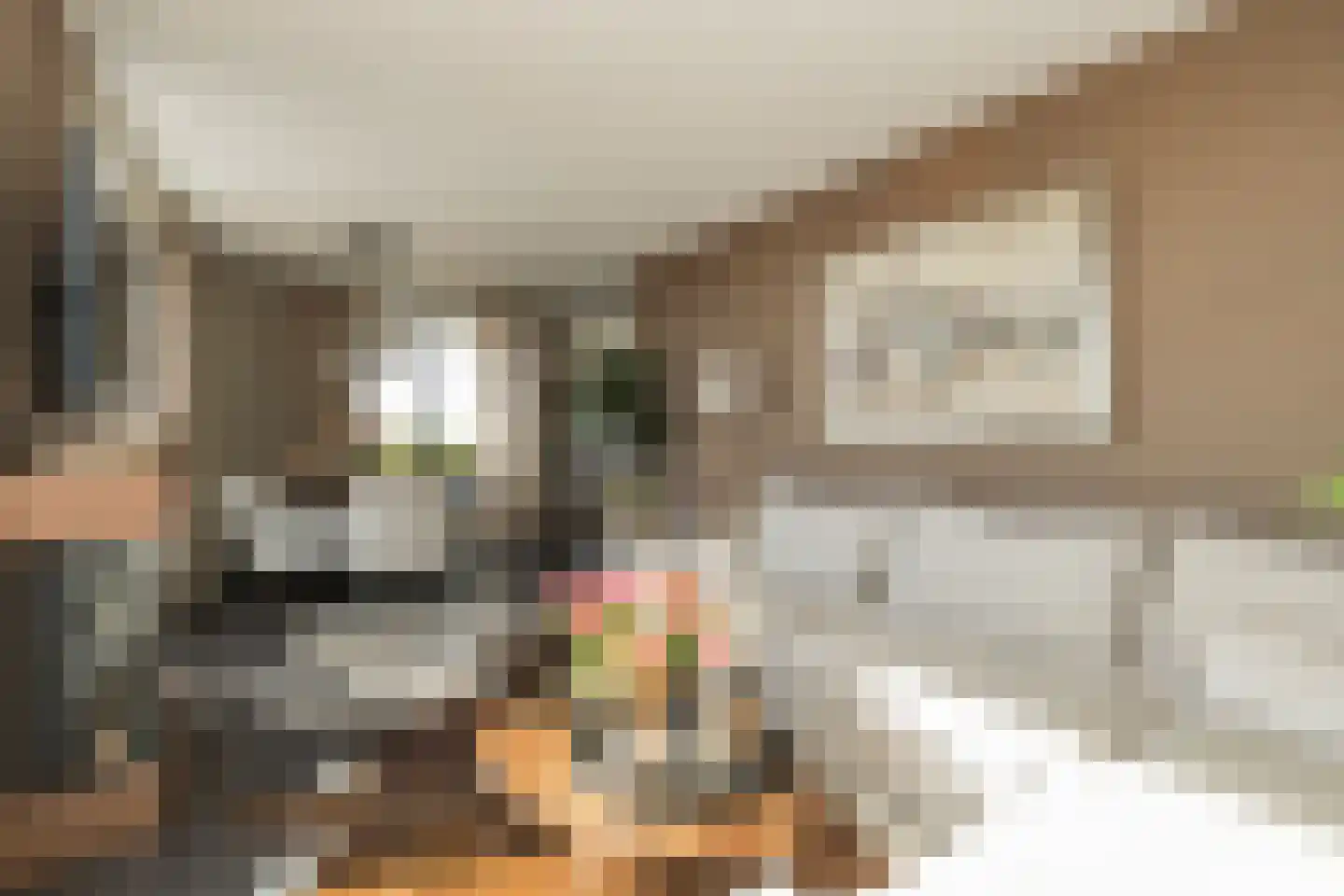 Bridgemankade 146 Hoofddorp thumbnail 19