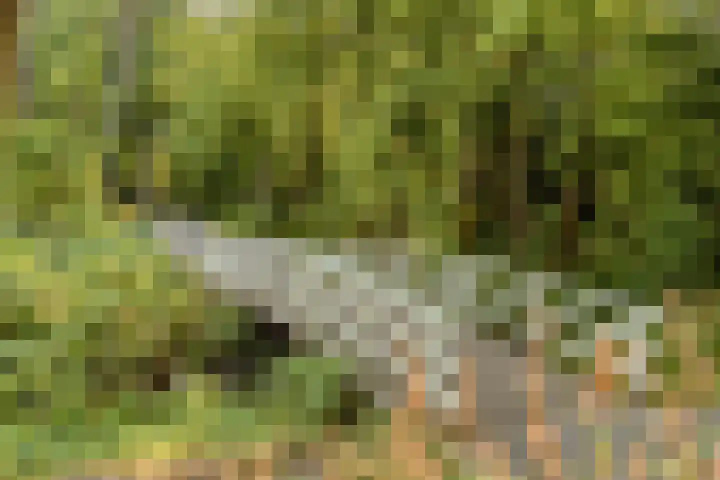 Bridgemankade 18 Hoofddorp thumbnail 33