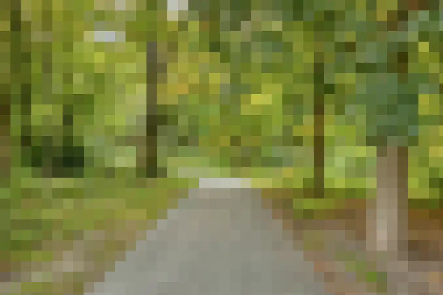 Bridgemankade 18 Hoofddorp thumbnail 36