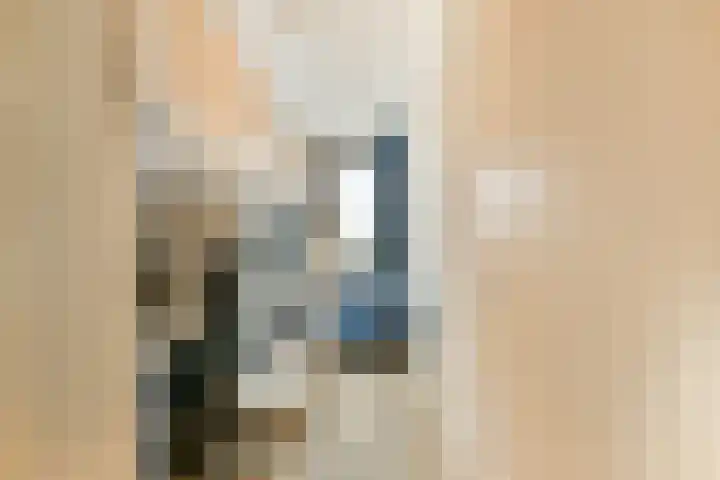 Bridgemankade 18 Hoofddorp thumbnail 9