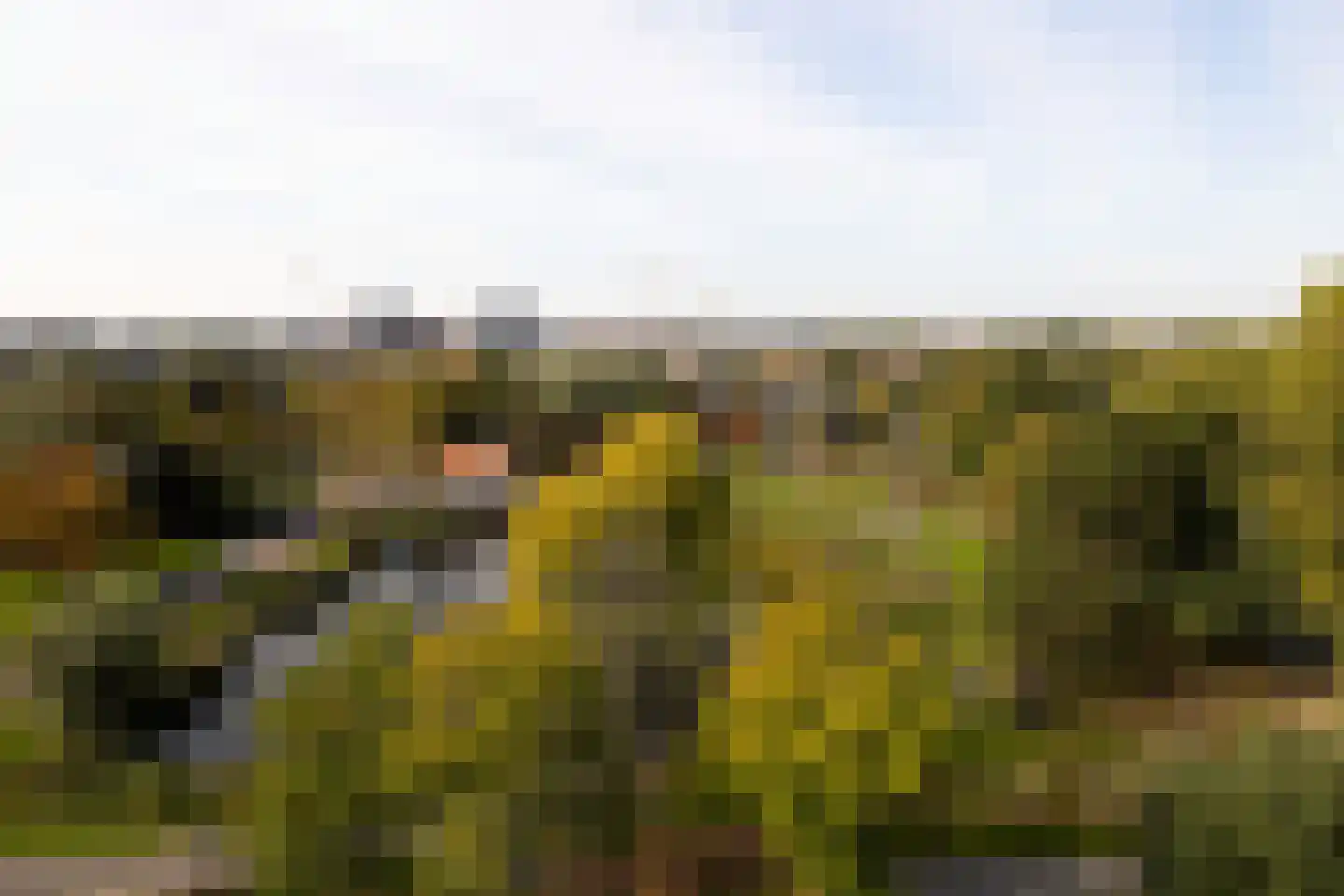Bridgemankade 22 Hoofddorp thumbnail 25