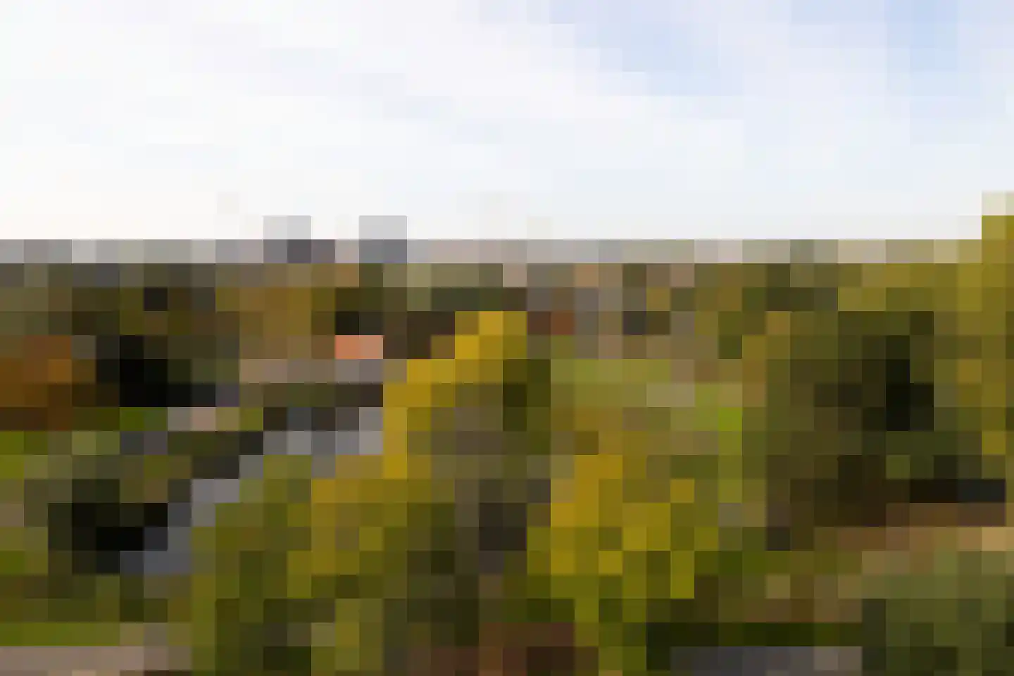 Bridgemankade 22 Hoofddorp thumbnail 26