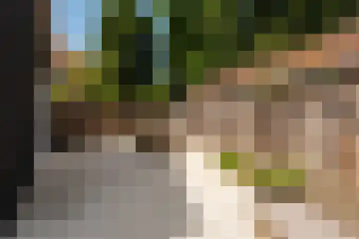 Briedélaan 1 Maarn thumbnail 14