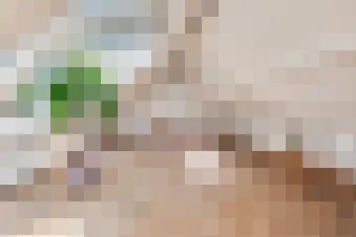 Briedélaan 1 Maarn thumbnail 17