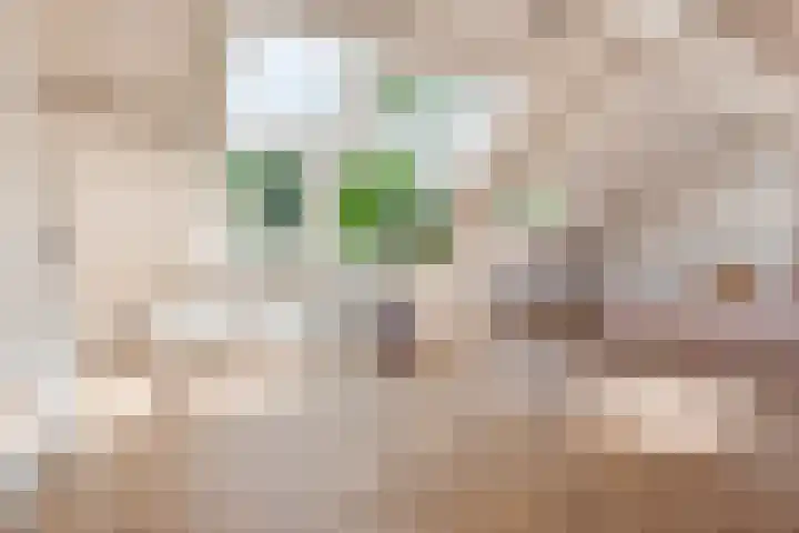 Briedélaan 1 Maarn thumbnail 18