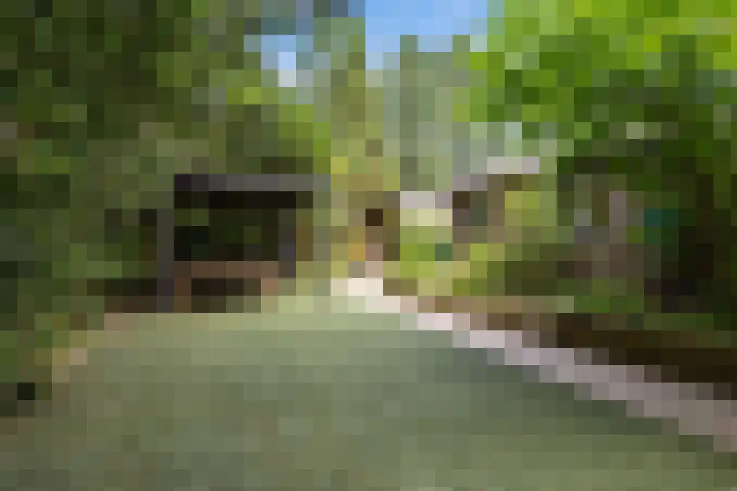 Briedélaan 33 Maarn thumbnail 29