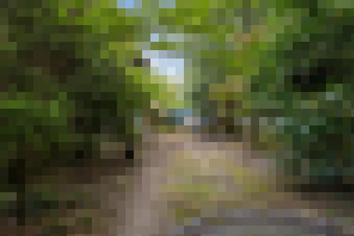 Briedélaan 33 Maarn thumbnail 33