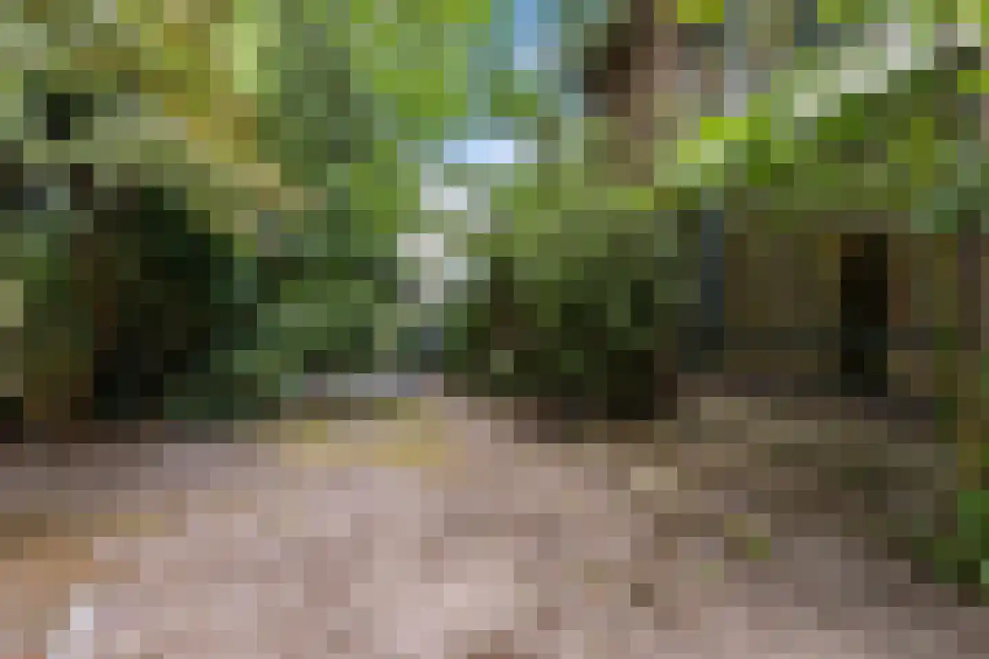 Briedélaan 33 Maarn thumbnail 34
