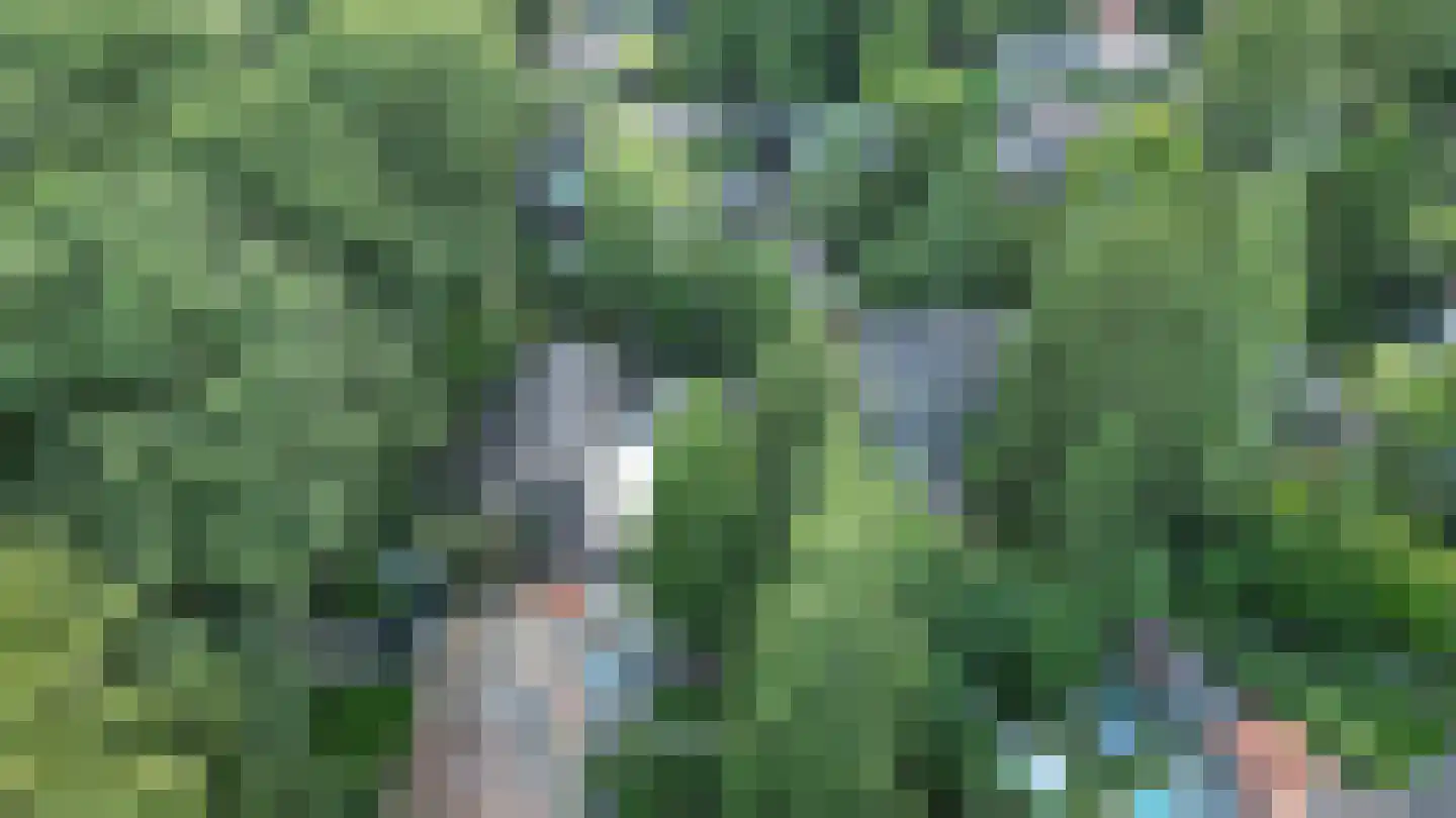 Briedélaan 33 Maarn thumbnail 38