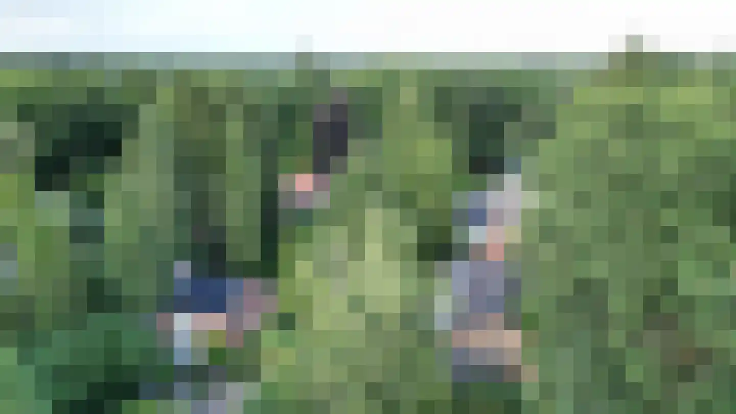 Briedélaan 33 Maarn thumbnail 39