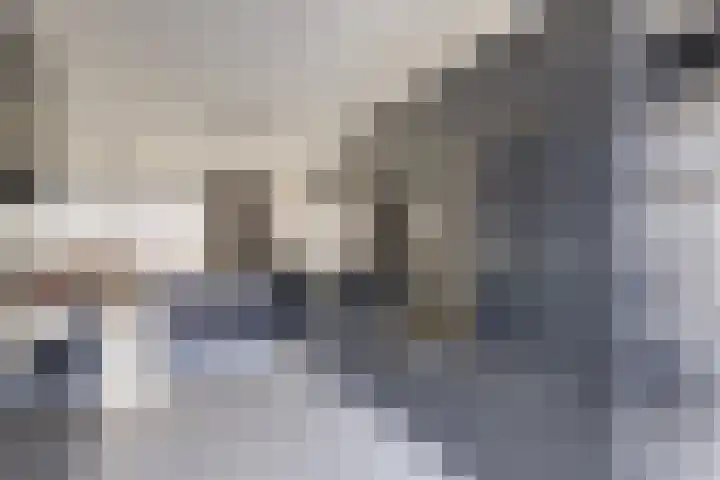 Briellestraat 18 Berkel en Rodenrijs thumbnail 10