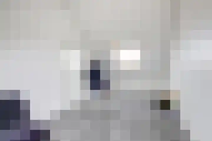 Briellestraat 18 Berkel en Rodenrijs thumbnail 21